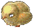 Chick