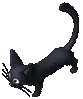 BlackKitten