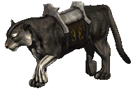 BlackLeopard