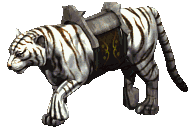 WhiteTiger
