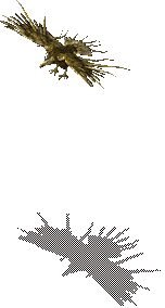 SkyStinger