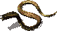 YellowViper