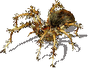 SpittingSpider