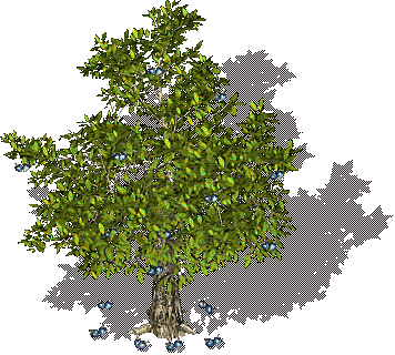 EbonyTree