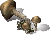 LargeMushroom