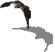 CaveBat
