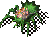 CrystalWeaver