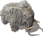 WhiteMammoth