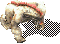 BloodBaboon