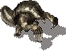 Armadillo