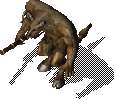 AncientWoomaFighter
