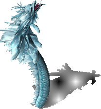 Hydra