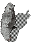 SnowYeti