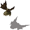 WedgeMoth
