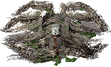 RootSpider