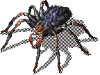 LureSpider