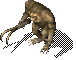 HookingCat