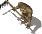 RakingCat