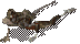 CrawlerZombie